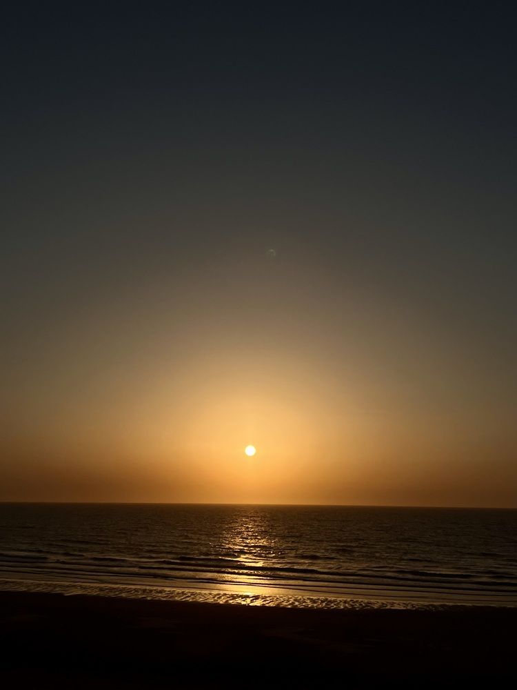 Chasing The Last Light
