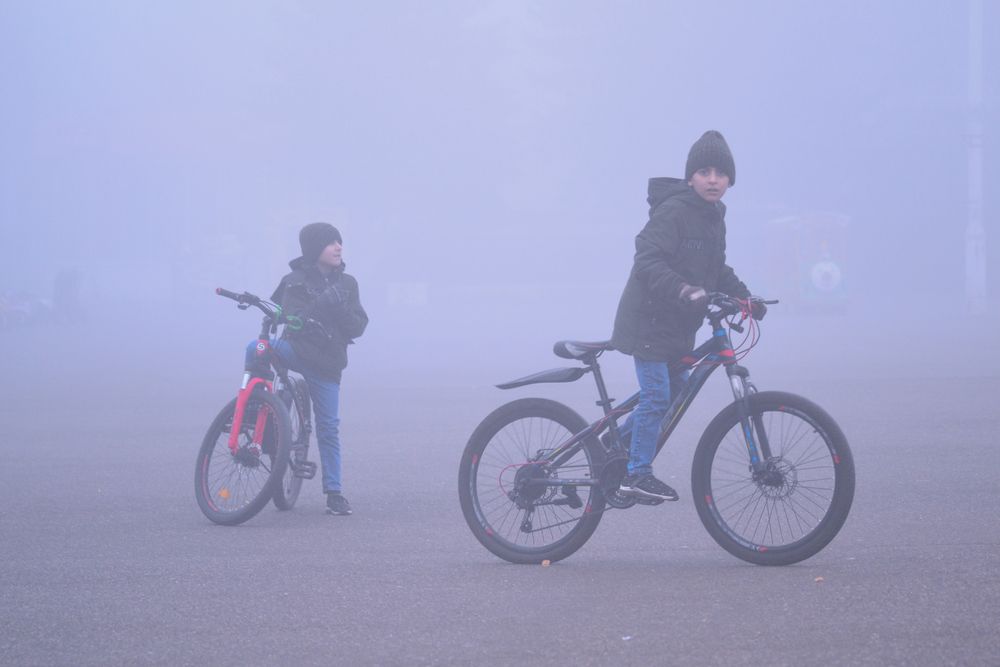 Photograph by Геннадий Чеботарев