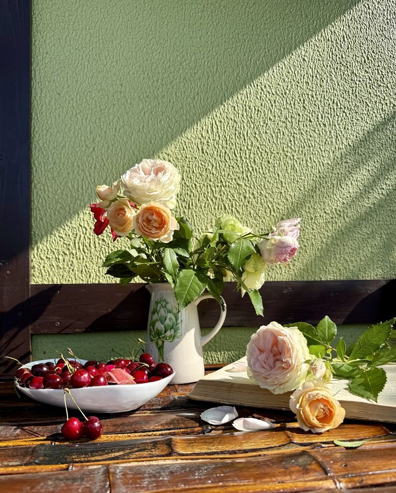 Photograph by Мария Якубовская