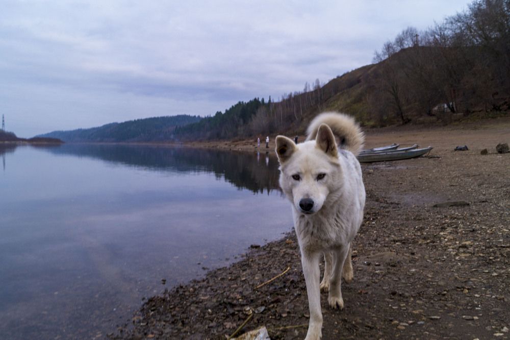Photograph by Юлия Александрова