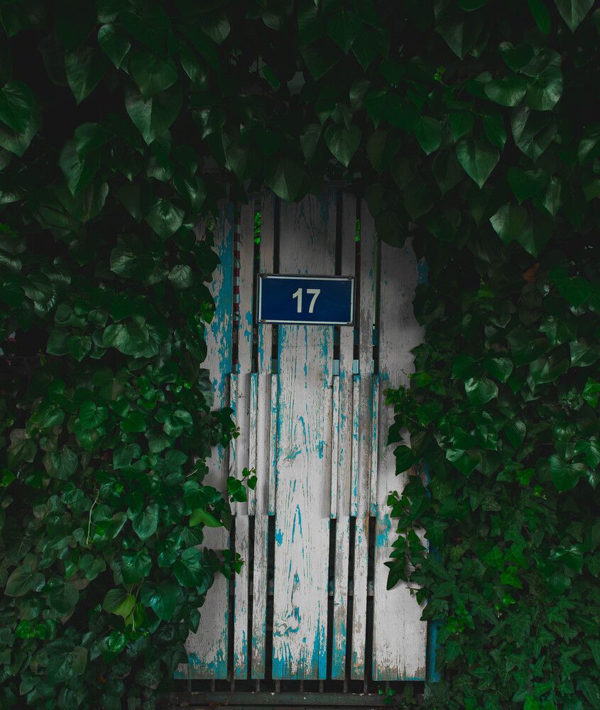 Photograph by Denis
