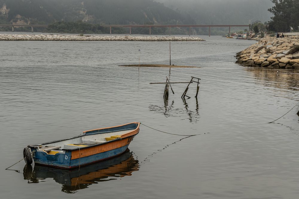 Photograph by Sandra Álvarez P