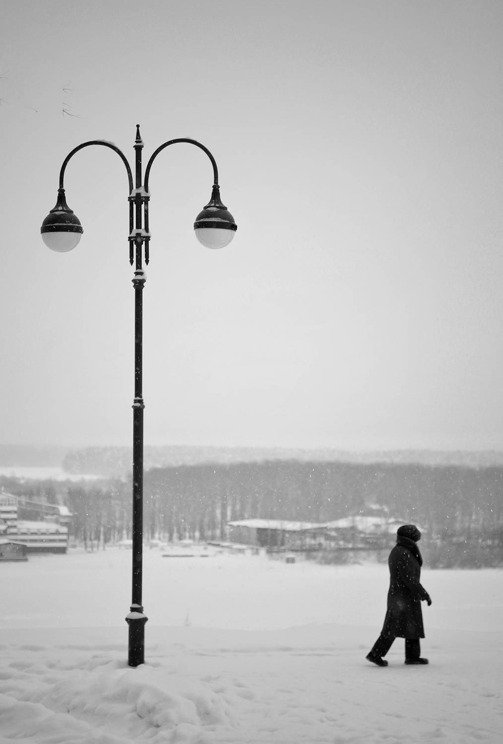 Photo #13683669
