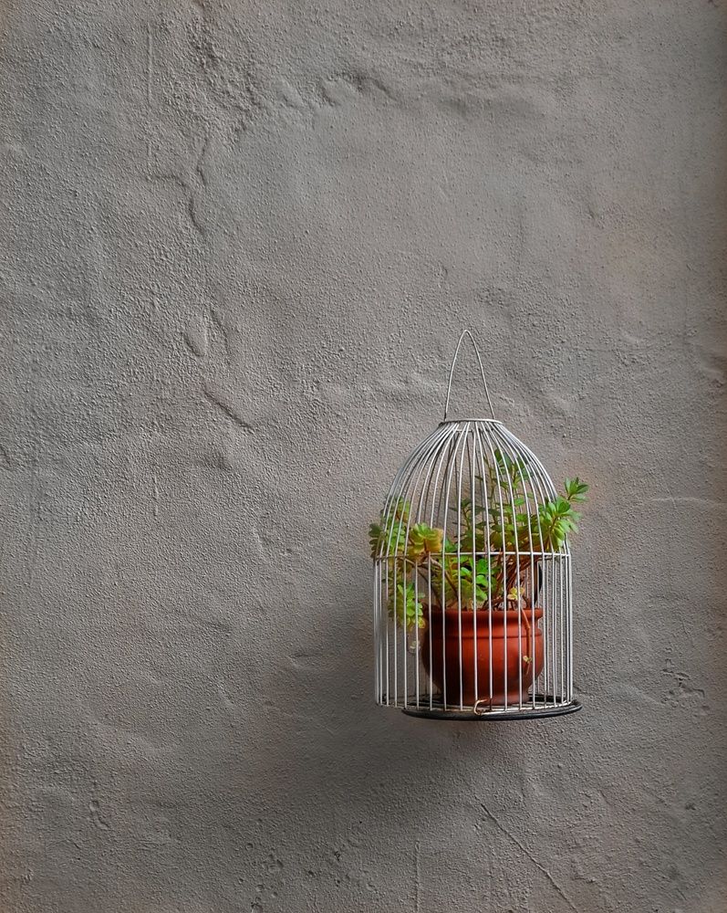 Photograph by Roberto Hagemann