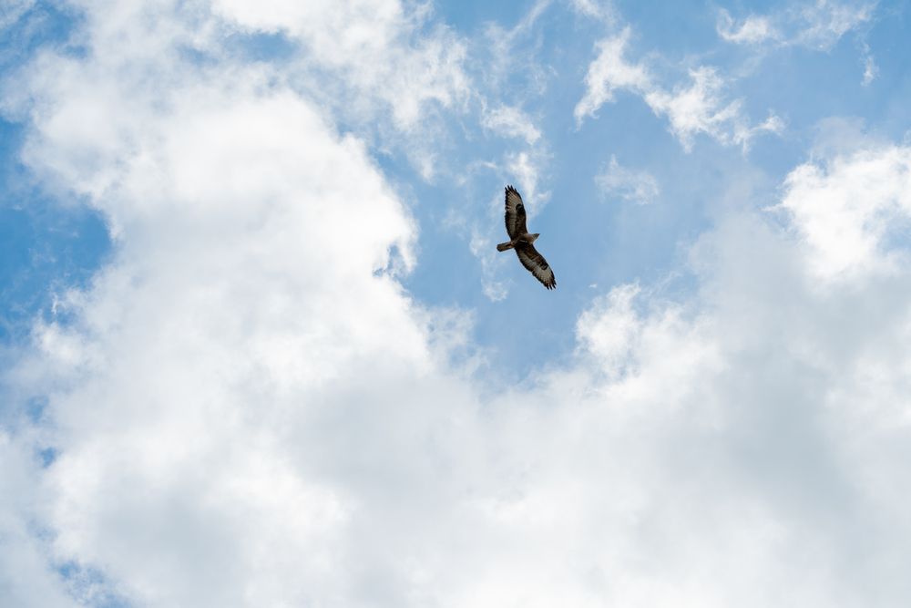Photograph by Евгения Булычёва