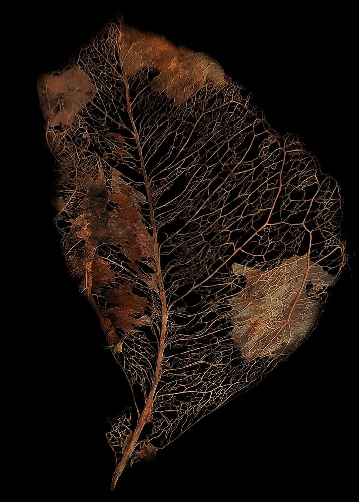Photograph by Roberto Hagemann