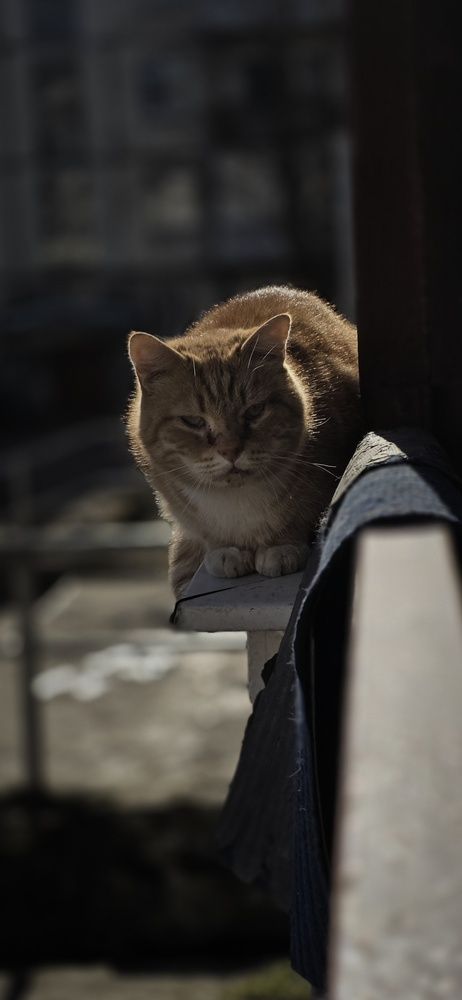 Photograph by Галина Перепечаева