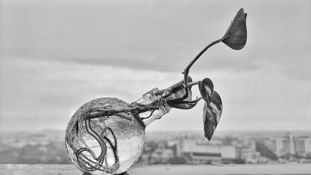 Photograph by Sahil Jadhav