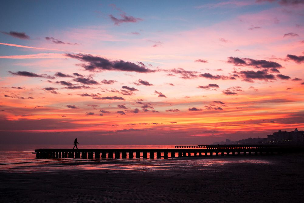 Photo #13683982