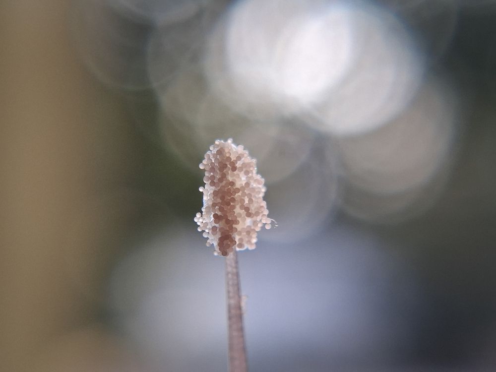 Photograph by Vijayakumar