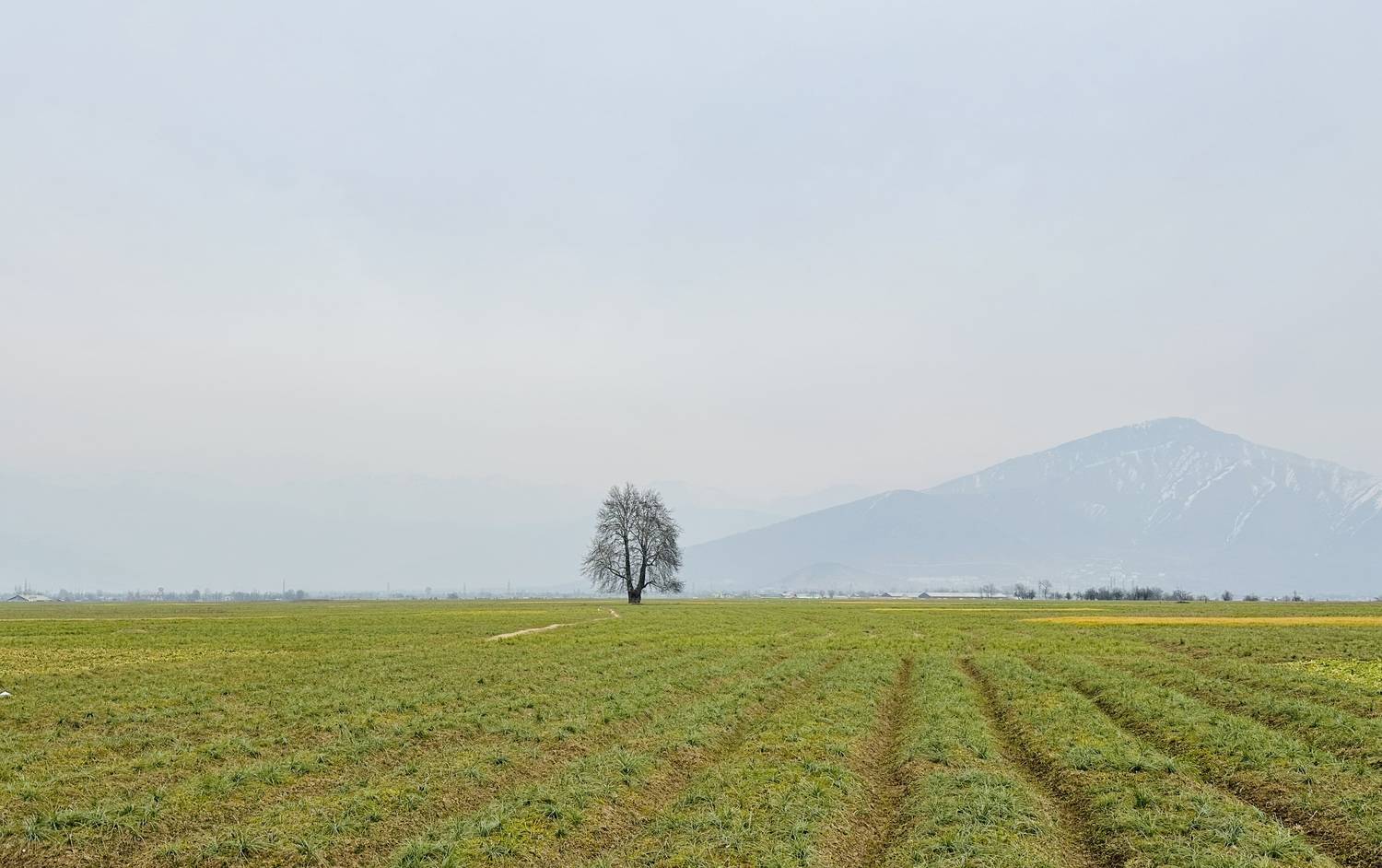 Photo #13684183