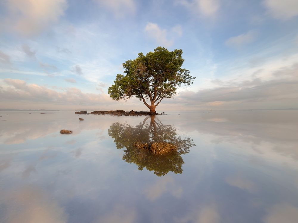 Photograph by putu utomo