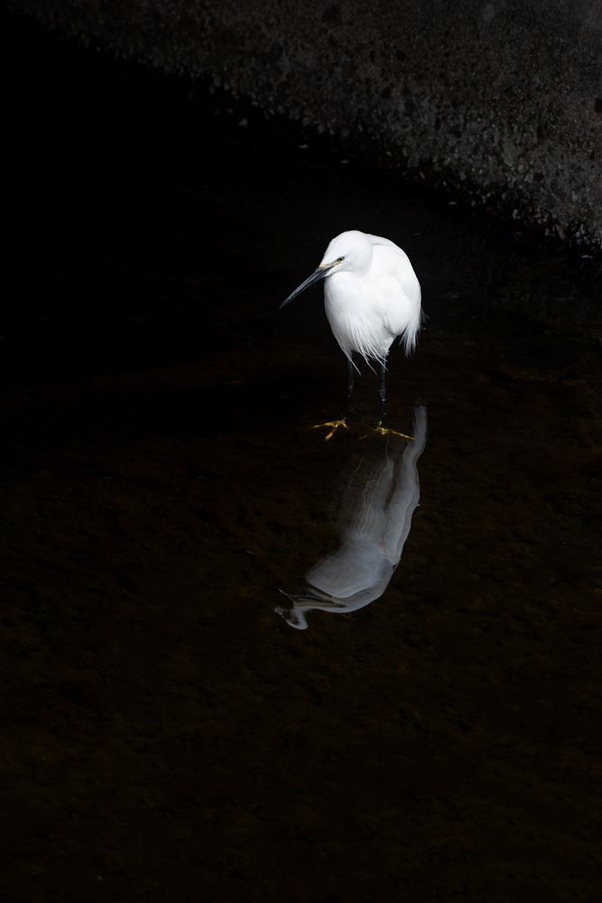 Photograph by Kuramochi Kunio