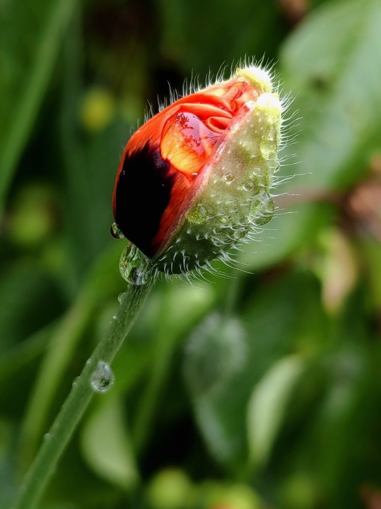 Photograph by Ульяна Кузьмина