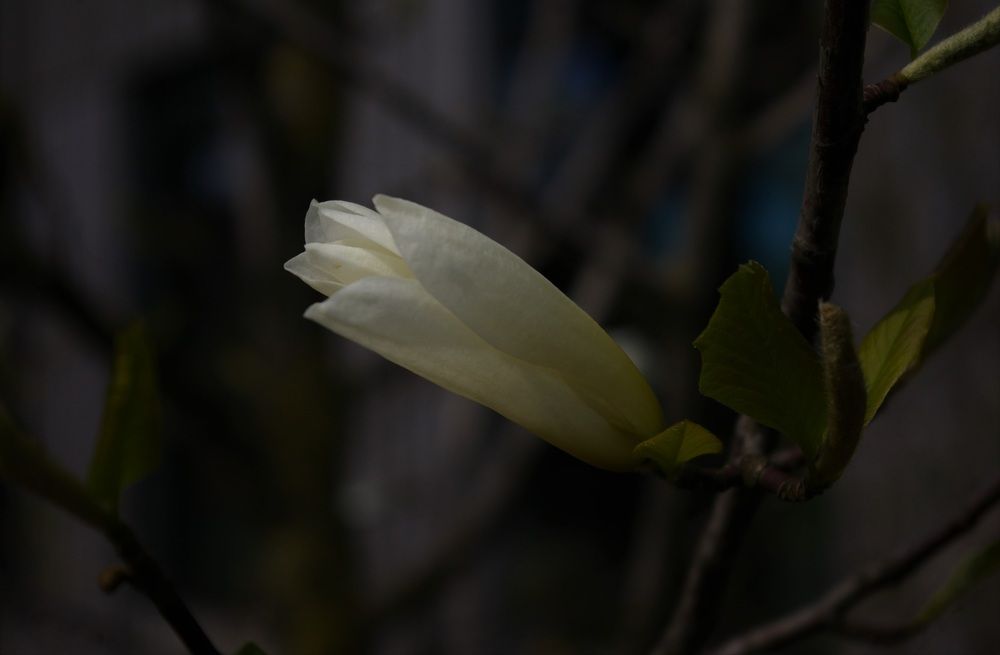 Photograph by Александра Семенас