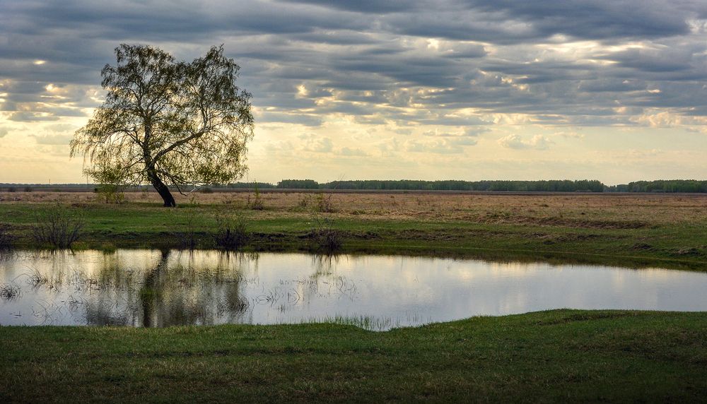 Photograph by Эд Голиков