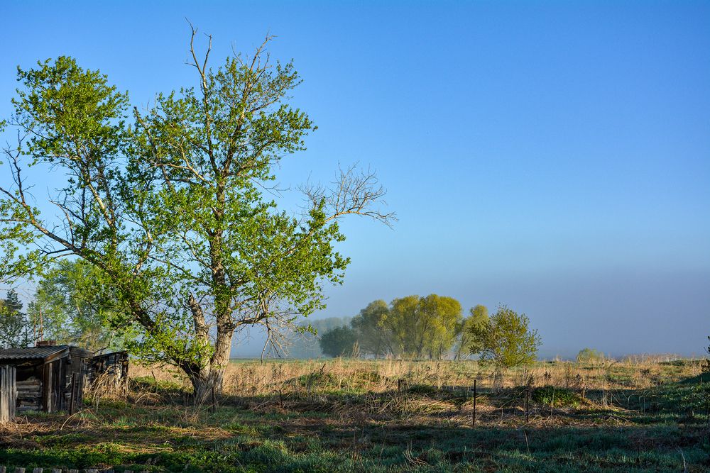 Photograph by Эд Голиков