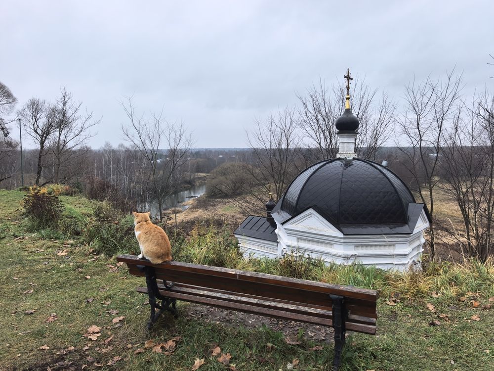 Photograph by Елена Охапкина
