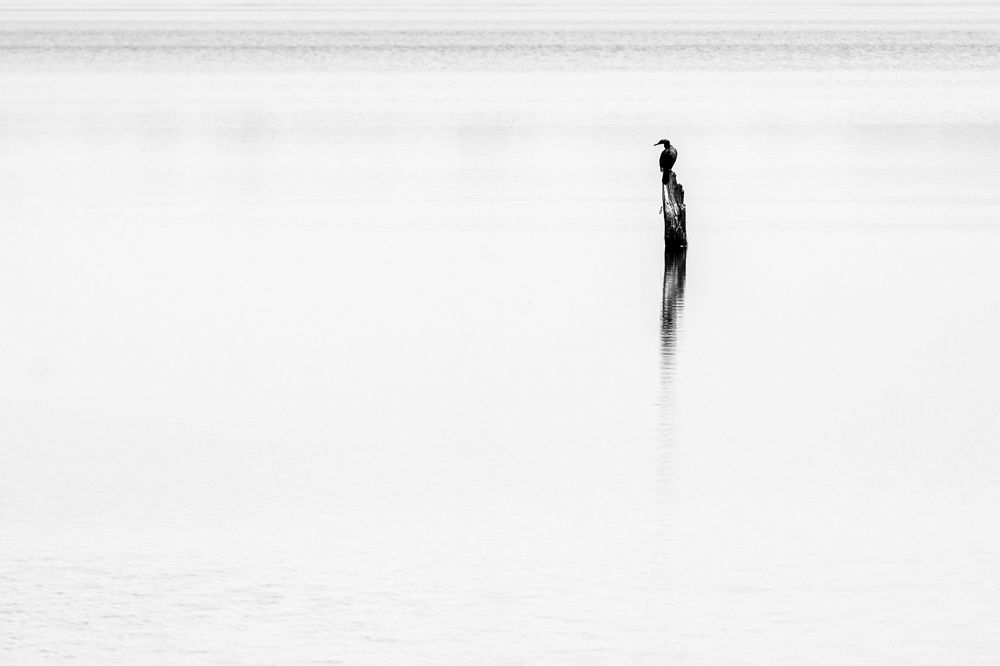 Photograph by Ashit Gandhi