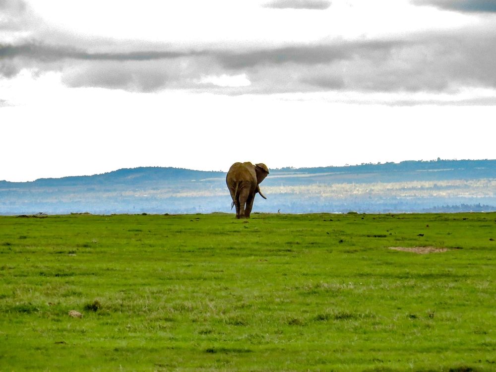 Photograph by Ashit Gandhi
