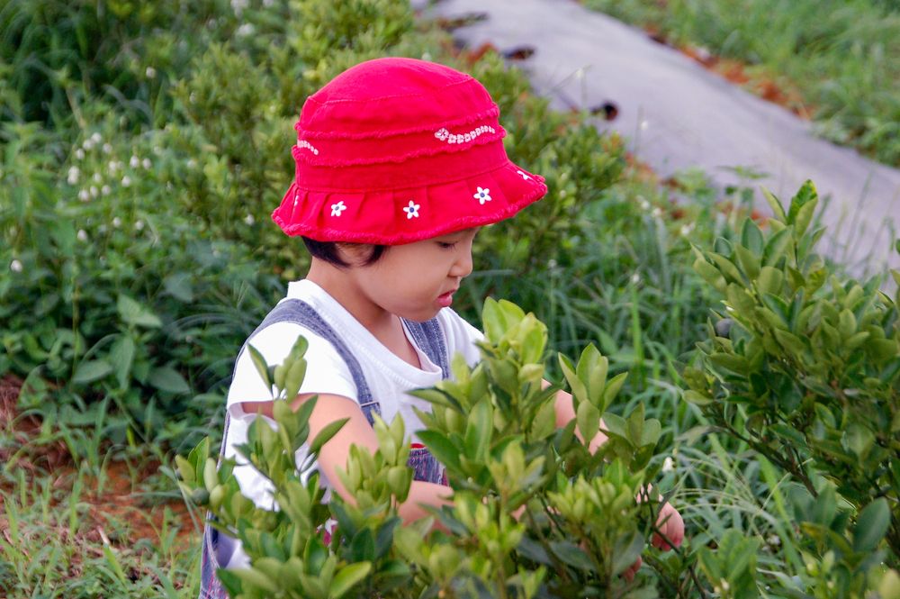 Photograph by Samuel Chan