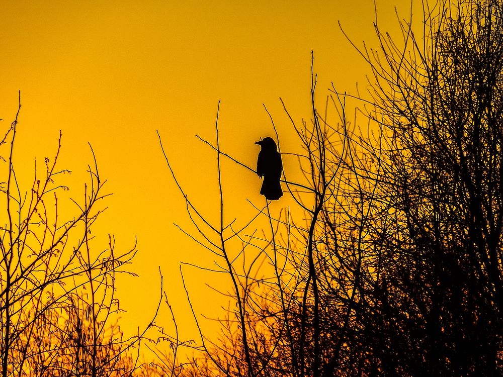 Photograph by Виталий Тимушев