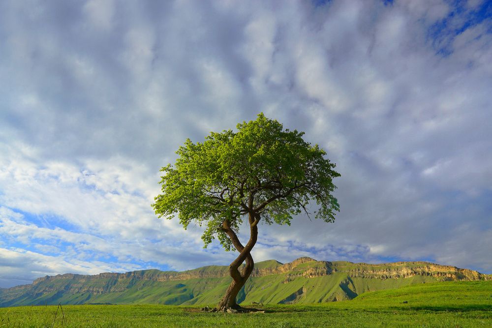 Photograph by Сергей Аверченко