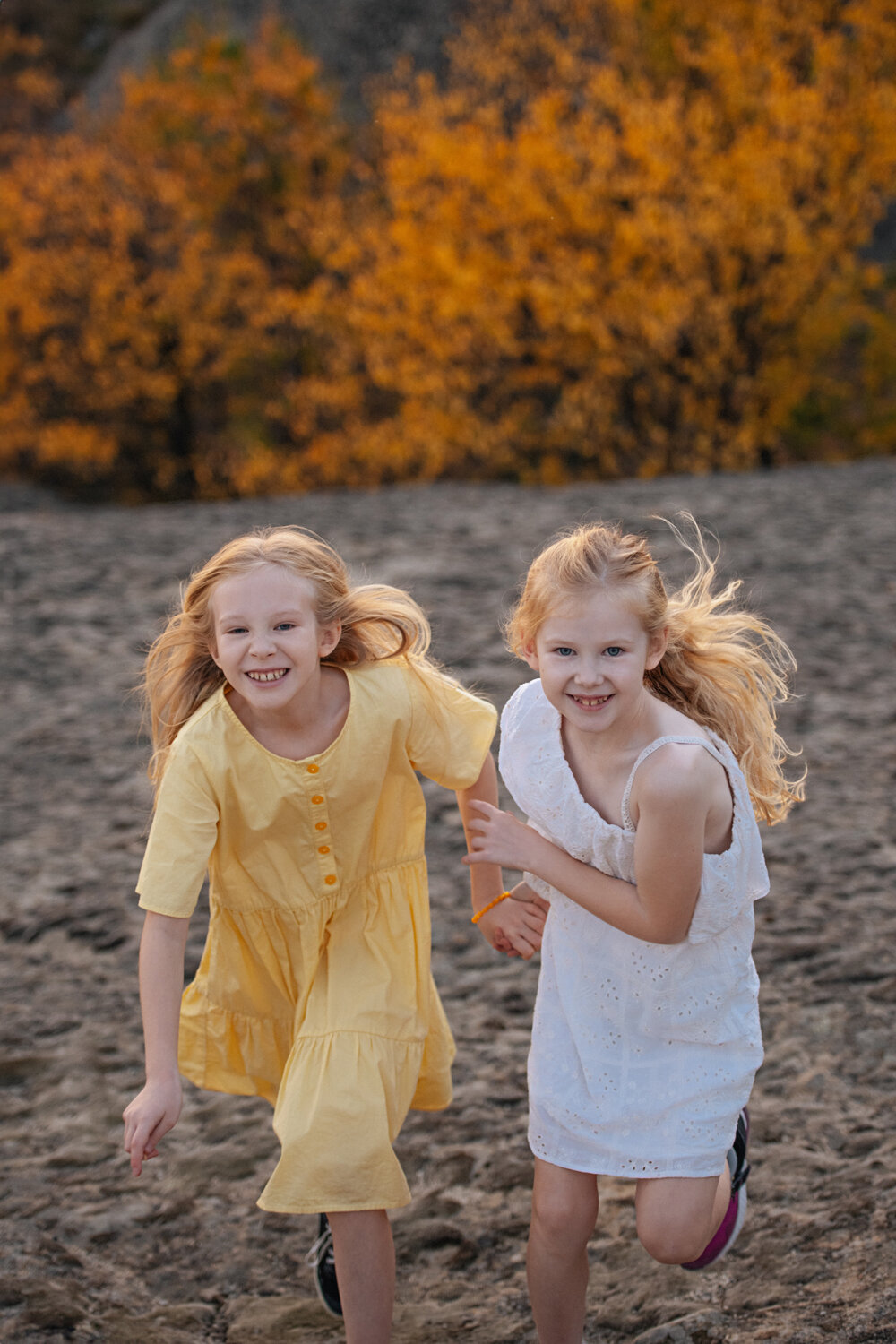 Photo #13684565