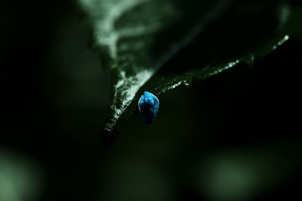 Фотография автора Ikuta Hidenori