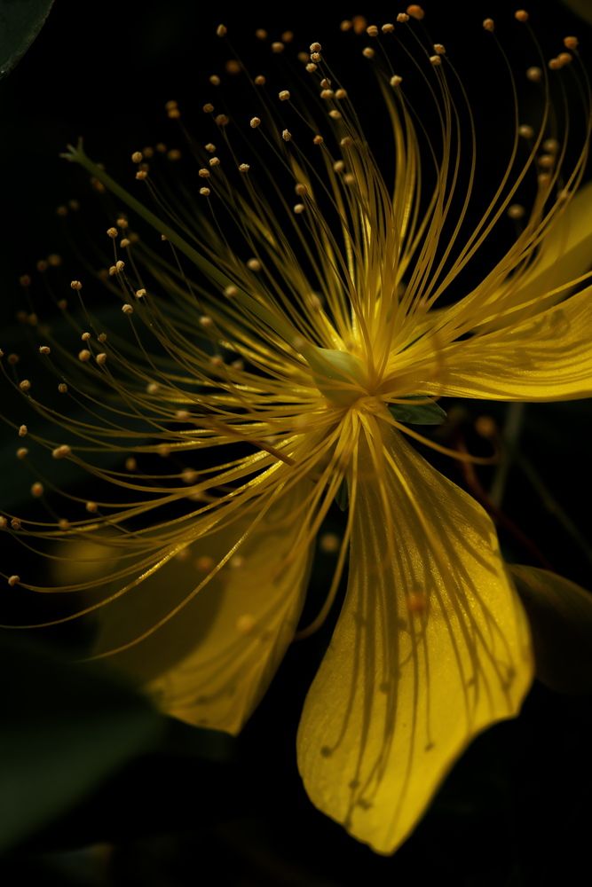 Фотография автора Ikuta Hidenori