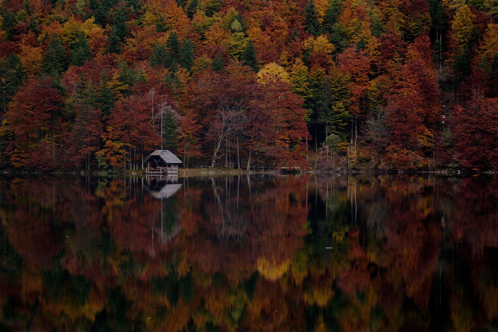 Photograph by Maja Esch