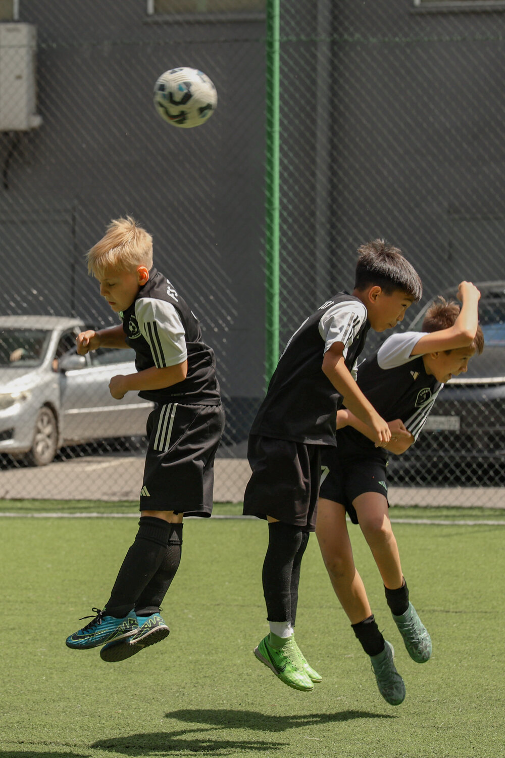 Photo #13684816