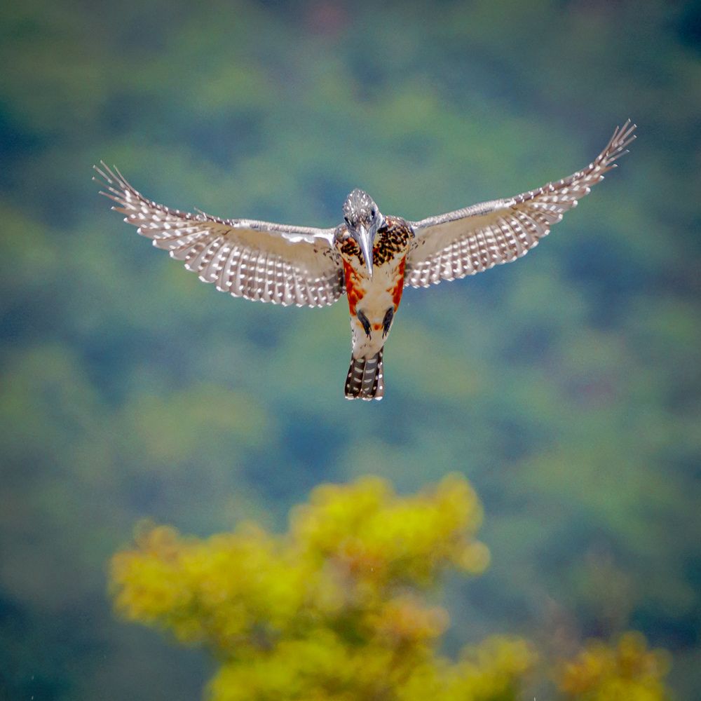 Photograph by Ken Stavrou