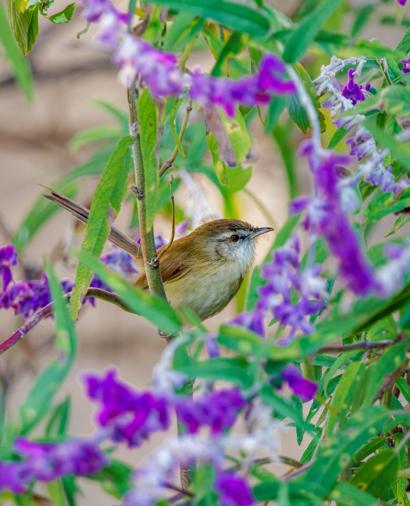 Photograph by Ken Stavrou