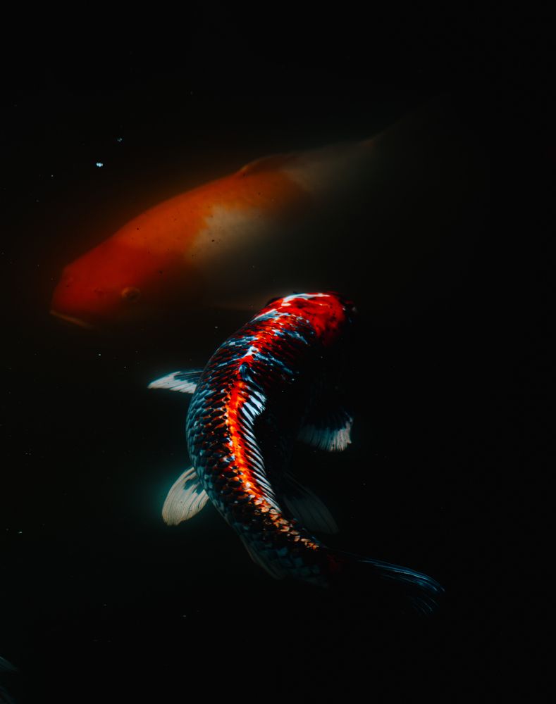 Photograph by Павел Ващилов