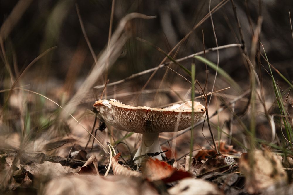 Photograph by Андрей Шелуков