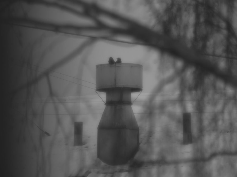 Photograph by Сергей Рябов