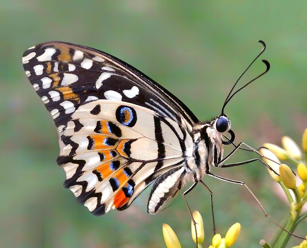Photograph by Tania Herdianti