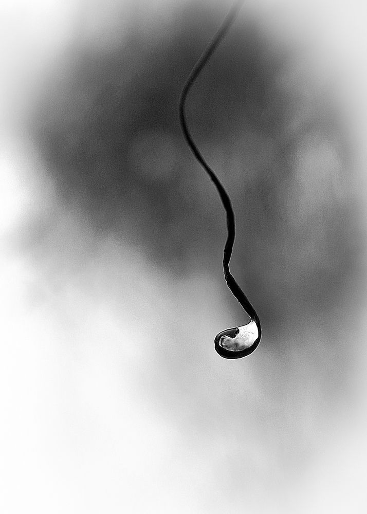 Photograph by Дина Темницкая