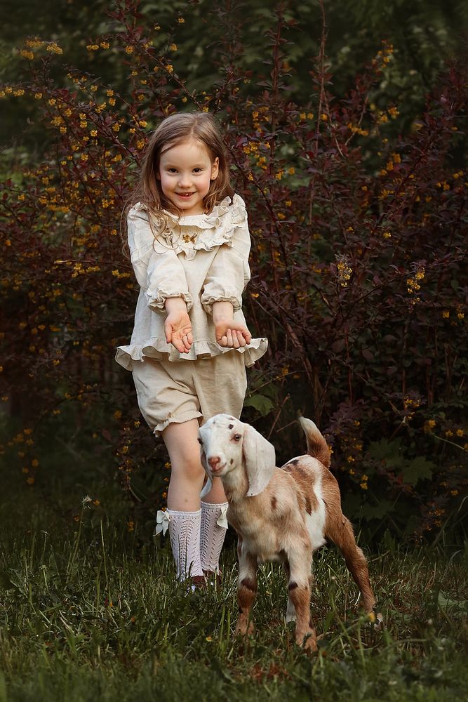 Photo #13685251