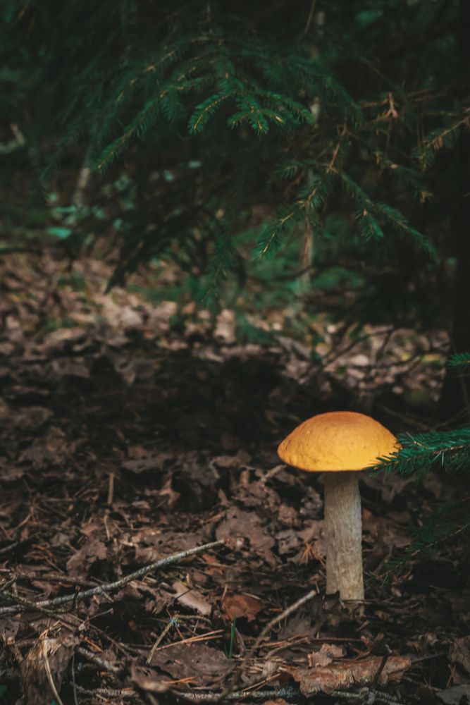 Photograph by Наталья Клячина