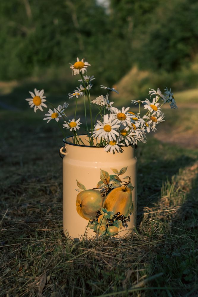 Photograph by Анастасия Гусейнова