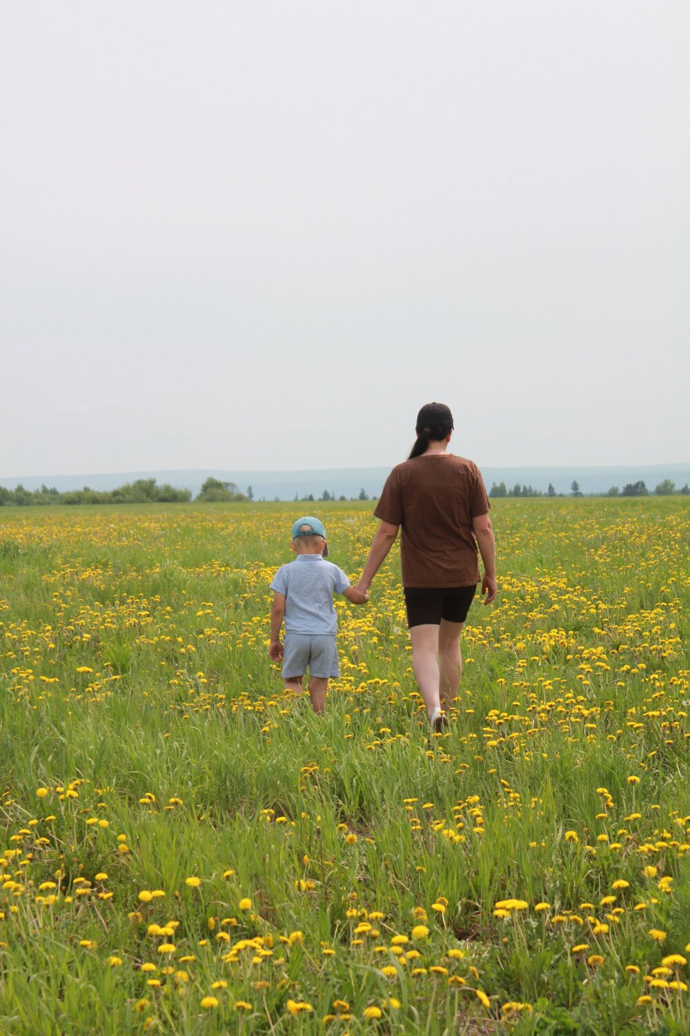 Photo #13685454