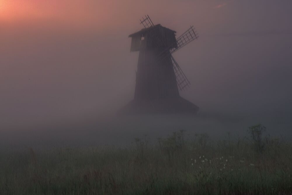 Фотография автора Елена Гусева