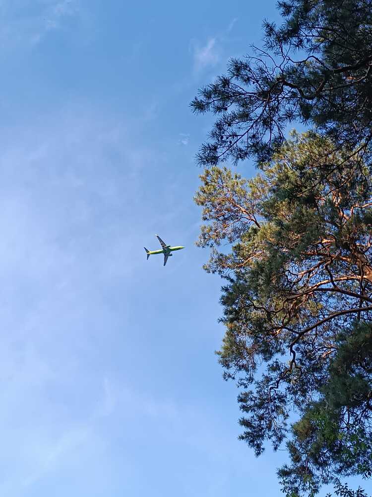 Photograph by Елена Колышева