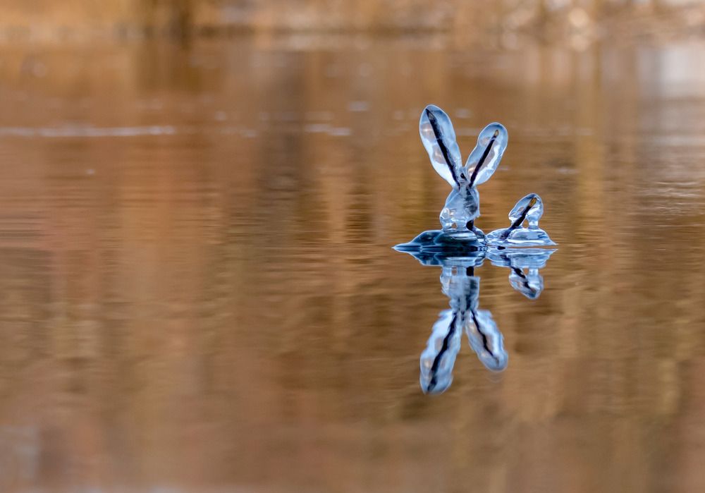 Photograph by Андрей Калинин