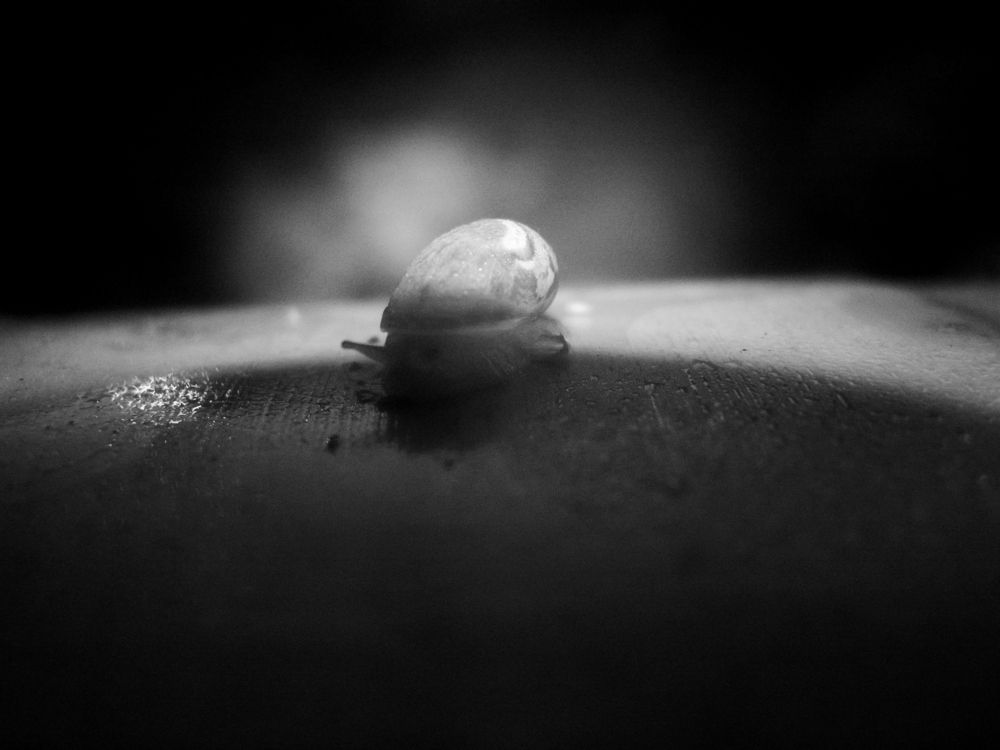 Photograph by Юрий Клишин