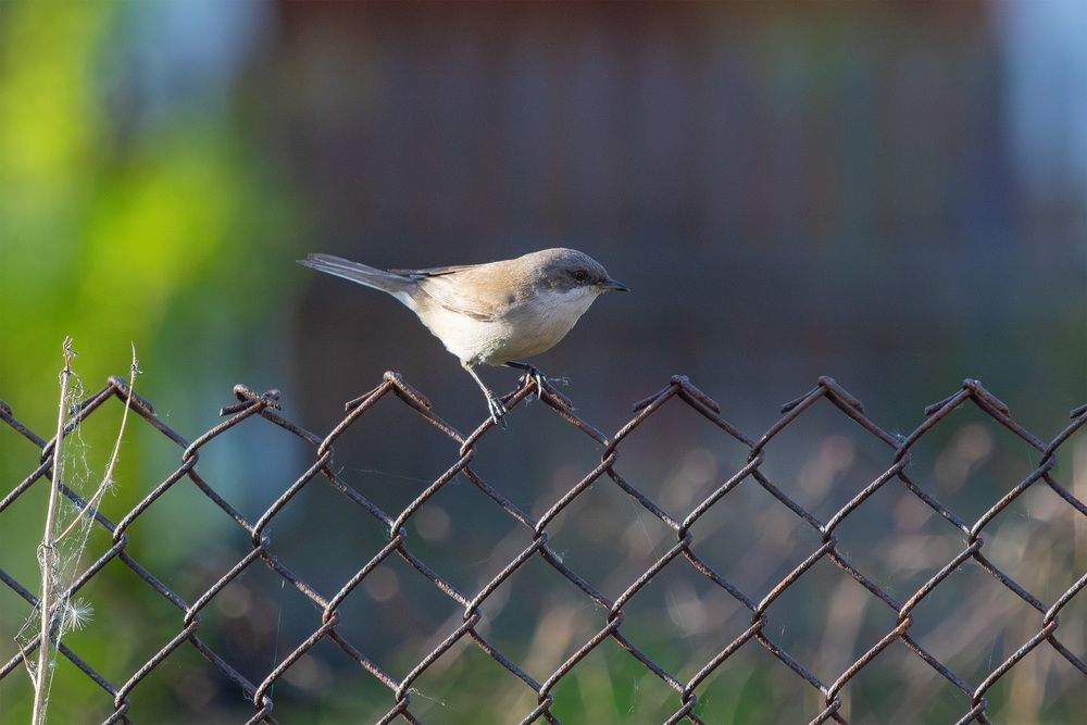 Photograph by Евгений Голубев