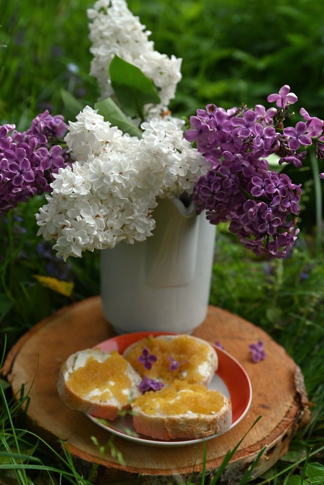 Photograph by Светлана Афанасьева