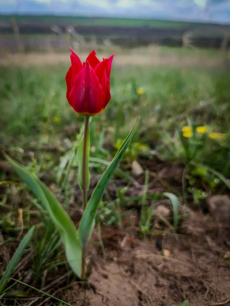 Photograph by Елена Толстопятова